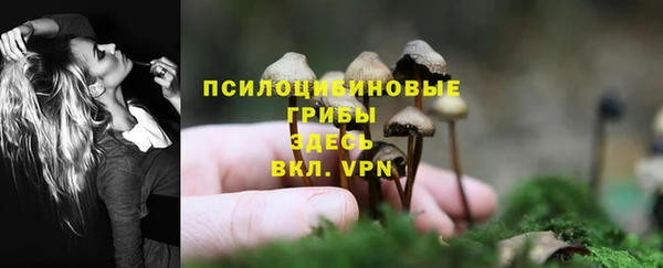 кокс Козловка